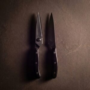 Kitchen shears, take-apart — Forged stainless, 55 HRC